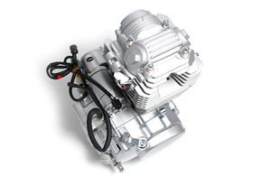 Двигатель в сборе ZS 172FMM (CB250-F) 249см3, возд. охл., электростартер_1