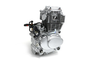 Двигатель в сборе ZS 172FMM (CB250-F) 249см3, возд. охл., электростартер_2