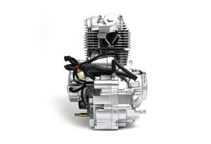 Двигатель в сборе ZS 172FMM (CB250-F) 249см3, возд. охл., электростартер_4