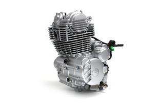 Двигатель в сборе ZS 172FMM (CB250-F) 249см3, возд. охл., электростартер_7